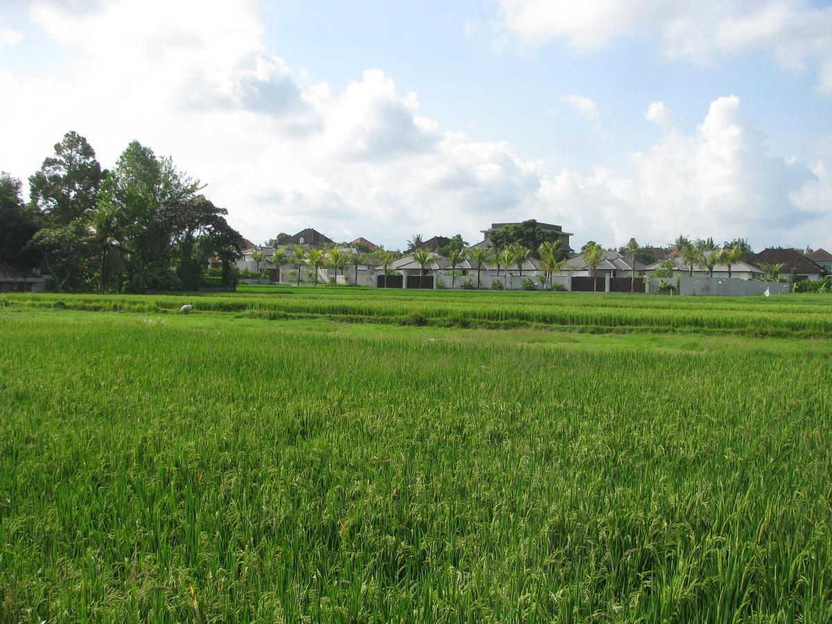 Pondok Mesari House Ubud  Exterior photo
