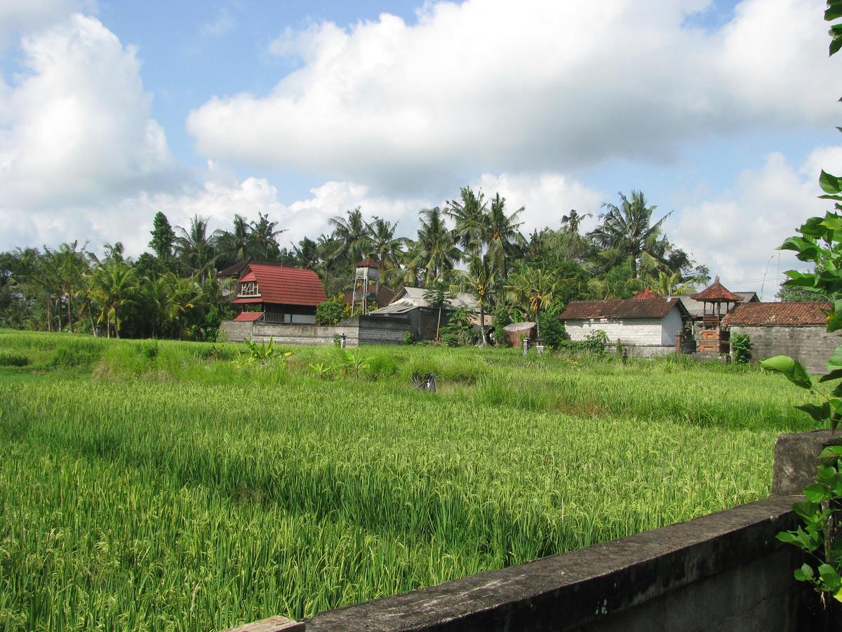 Pondok Mesari House Ubud  Exterior photo